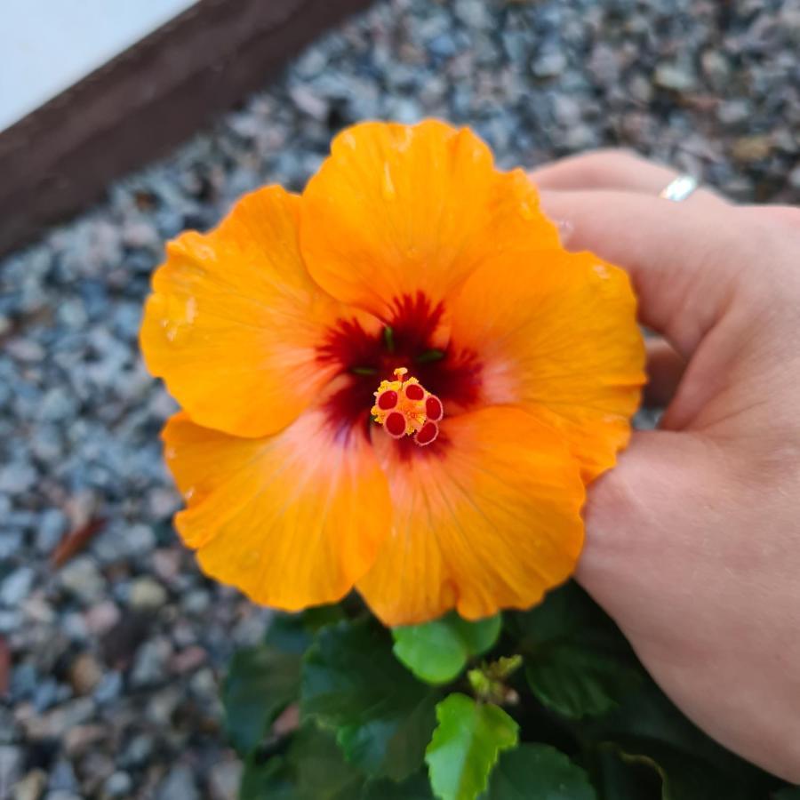Estalagem Doce Mar